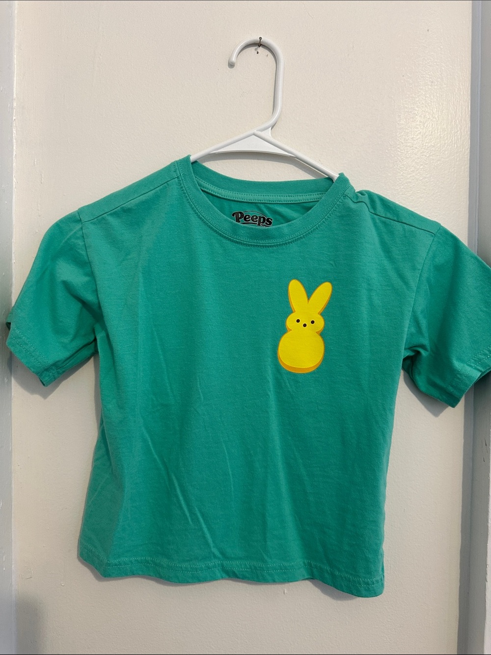 Peeps Kids' Short Sleeve Teal Tee with Yellow Bunny Patch